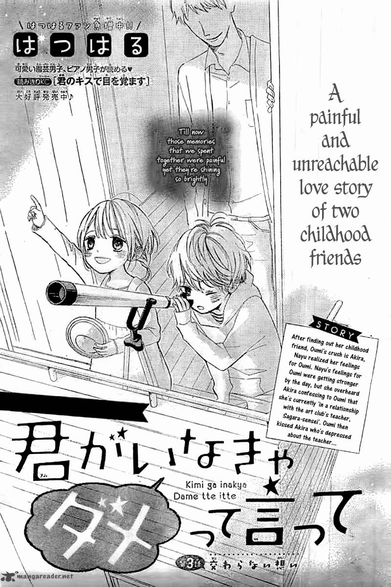 Kimi Ga Inakya Dame Tte Itte 3 3