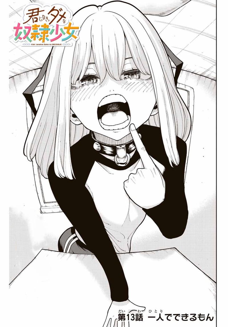 Kimi Janakya Dame Na Dorei Shoujo 13 3