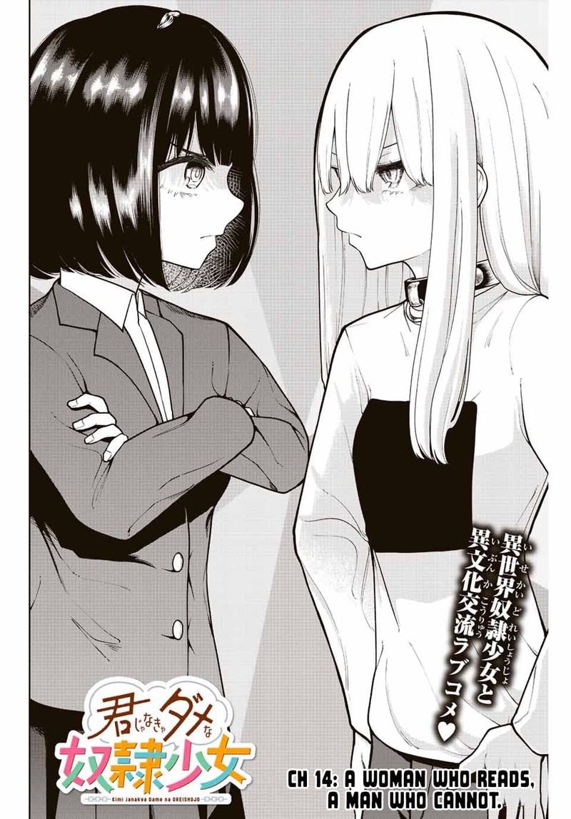 Kimi Janakya Dame Na Dorei Shoujo 14 4