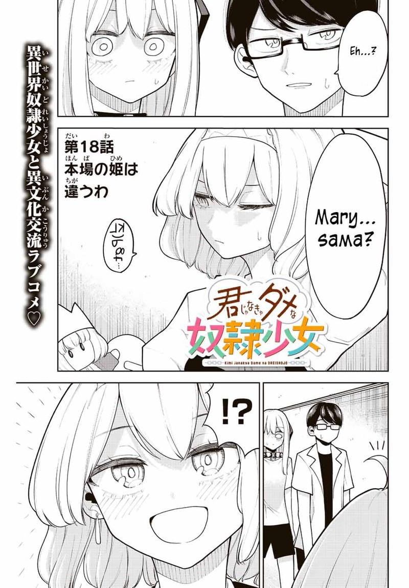 Kimi Janakya Dame Na Dorei Shoujo 18 1