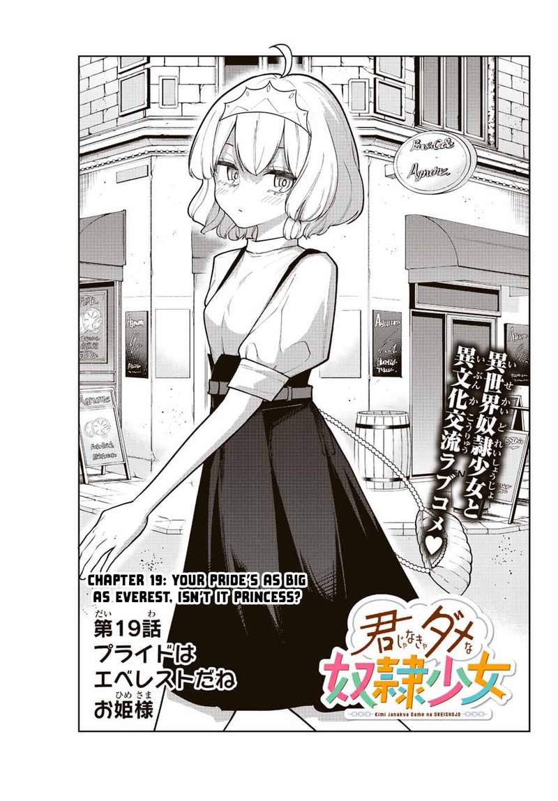 Kimi Janakya Dame Na Dorei Shoujo 19 3