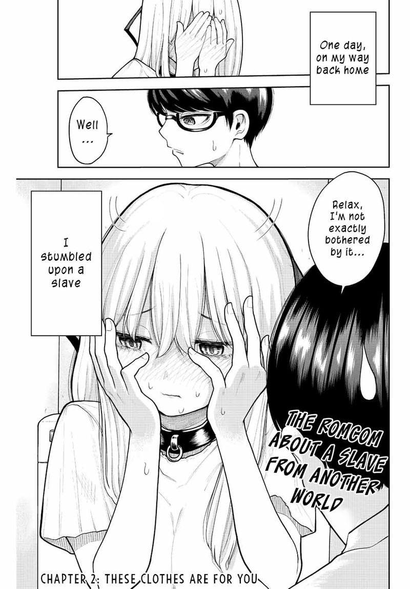 Kimi Janakya Dame Na Dorei Shoujo 2 1
