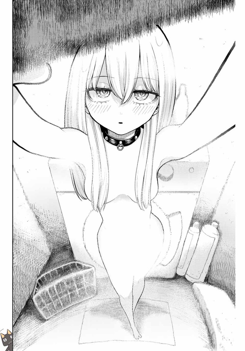 Kimi Janakya Dame Na Dorei Shoujo 2 12