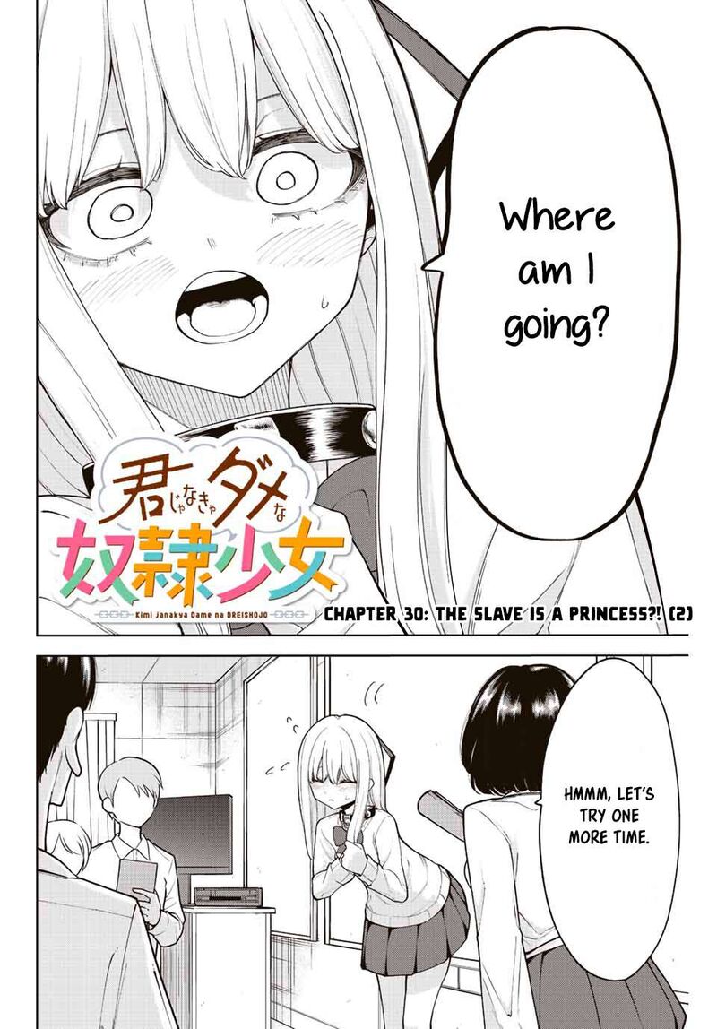Kimi Janakya Dame Na Dorei Shoujo 30 2