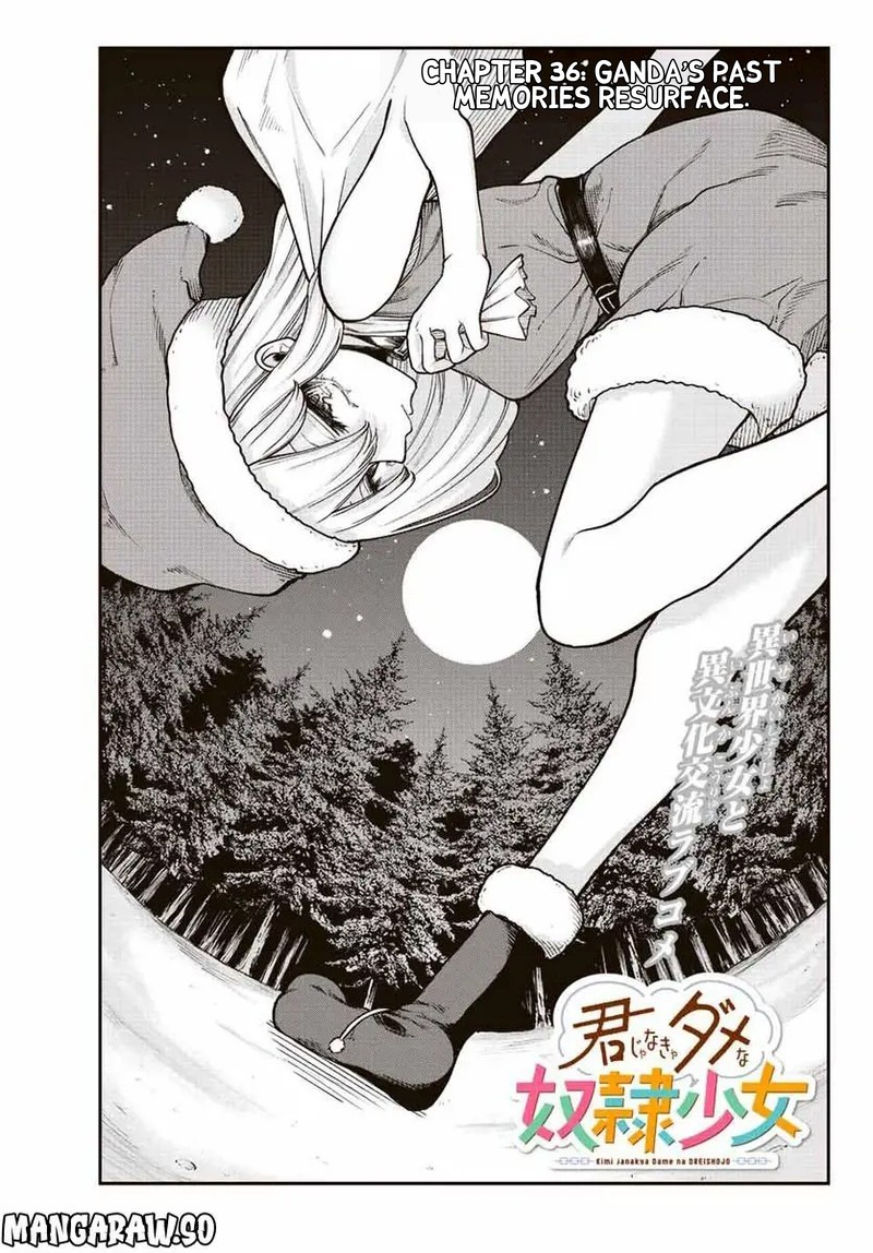 Kimi Janakya Dame Na Dorei Shoujo 38 3