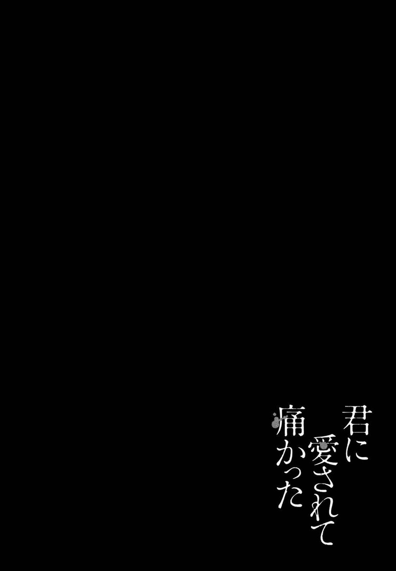 Kimi Ni Aisarete Itakatta 17 26