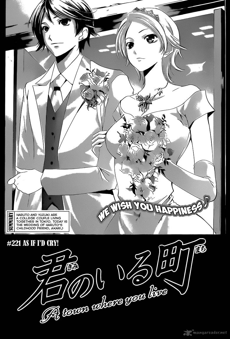 Kimi No Iru Machi 221 3