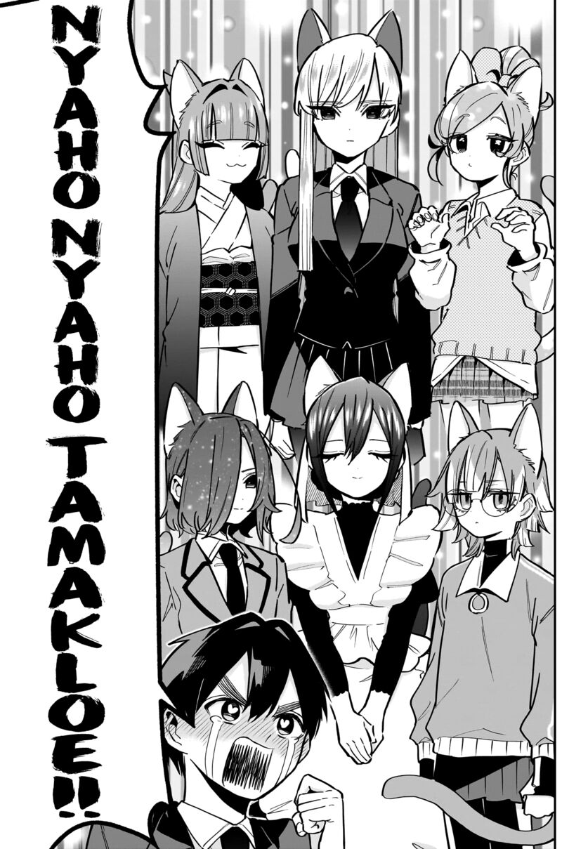 Kimi No Koto Ga Daidaidaidaidai Suki Na 100 Nin No Kanojo 142 7