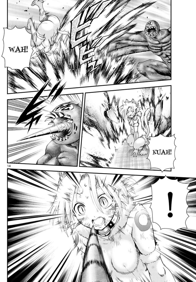 Kimi Wa 008 249 14