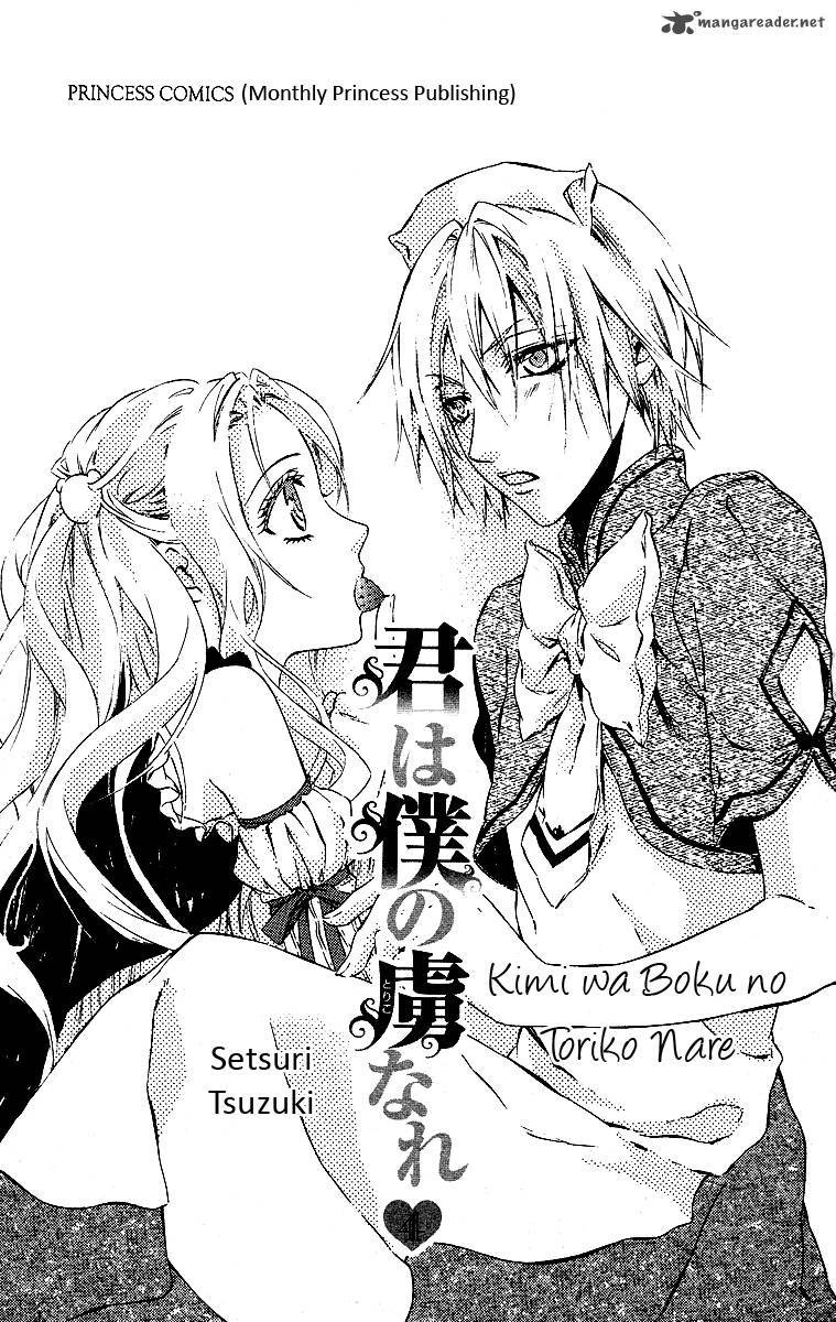 Kimi Wa Boku No Toriko Nare 15 4