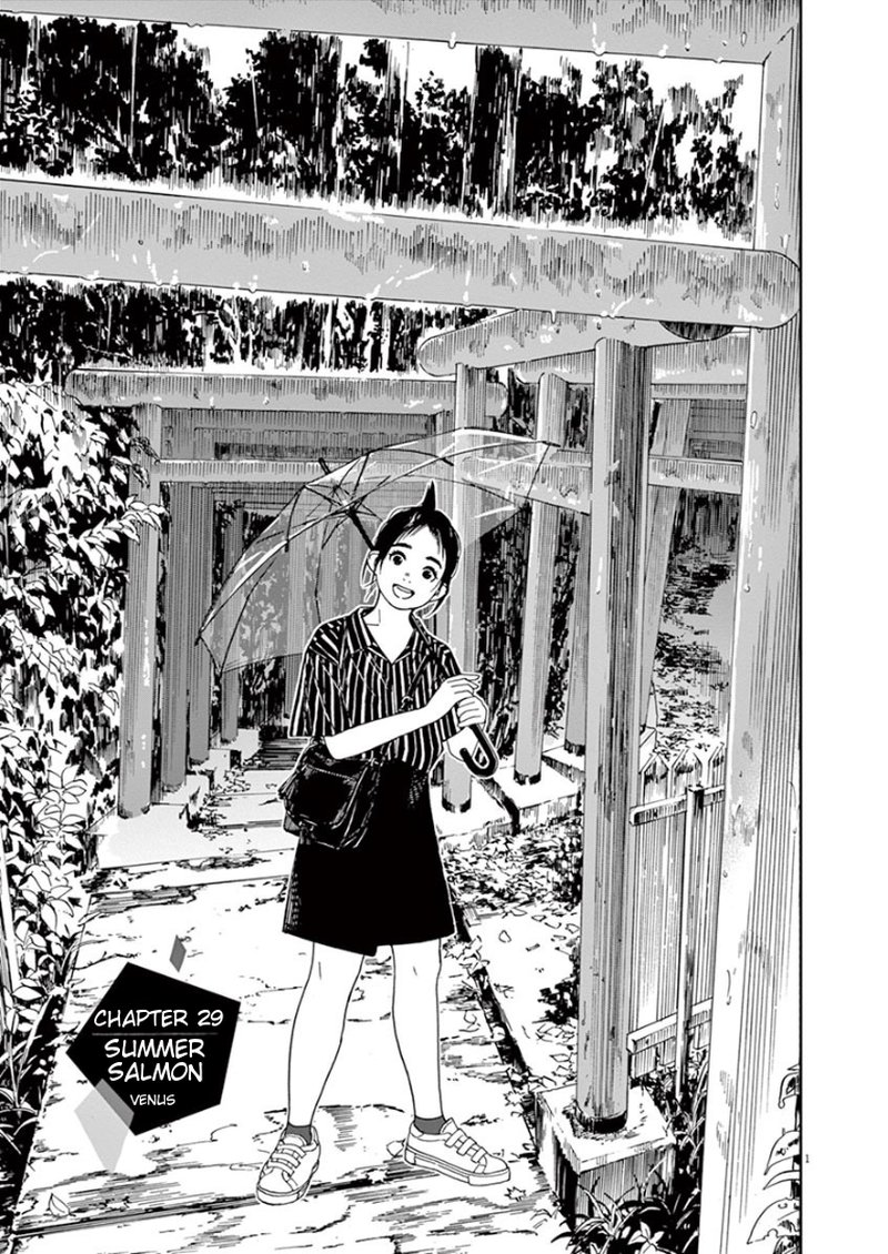 Kimi Wa Houkago Insomnia 29 1