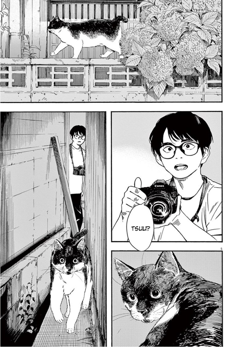 Kimi Wa Houkago Insomnia 39 5
