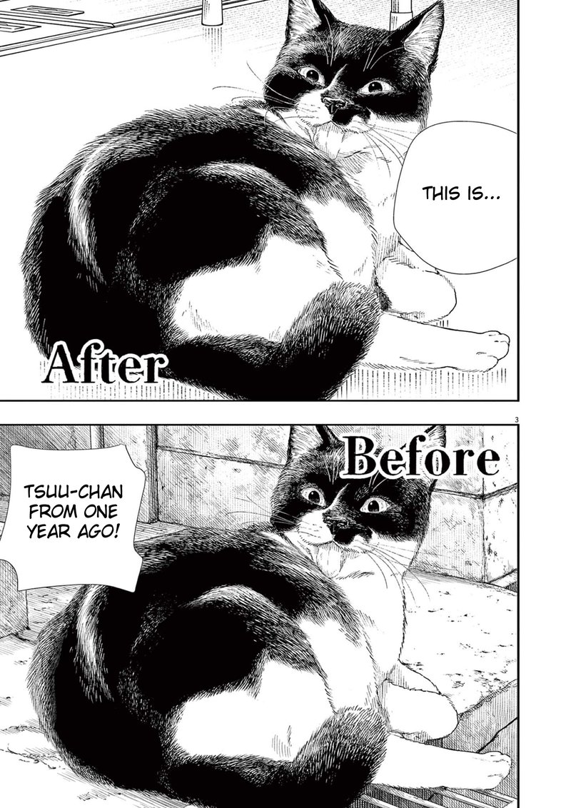 Kimi Wa Houkago Insomnia 92 3