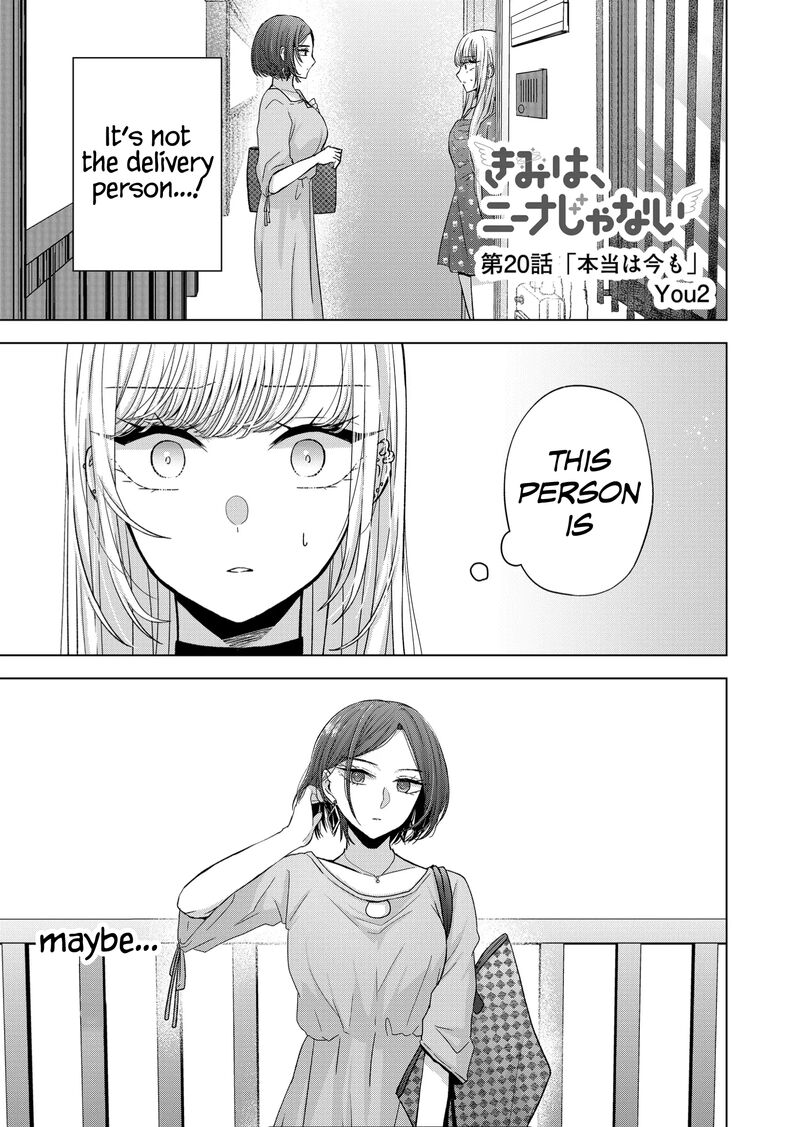 Kimi Wa Nina Janai 20 1
