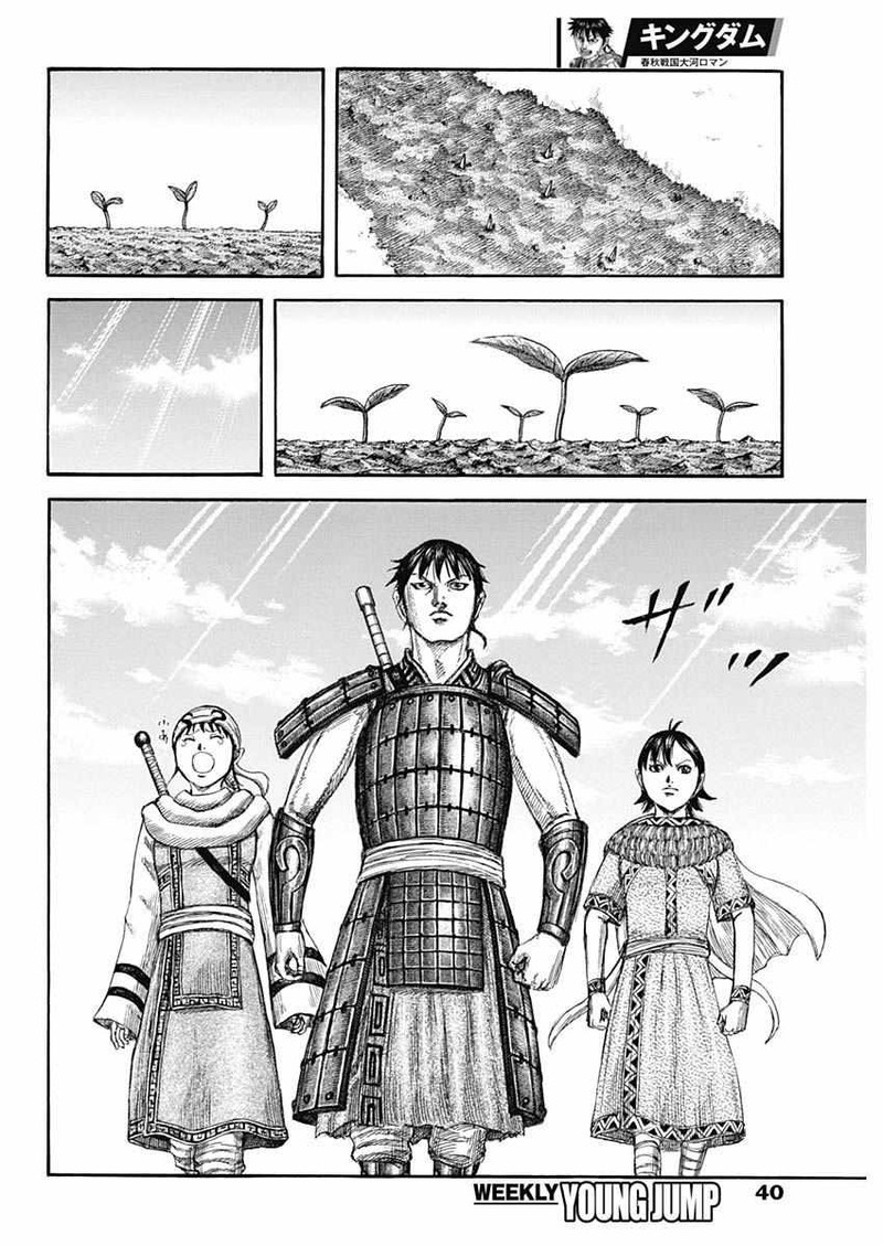 Kingdom 803 8