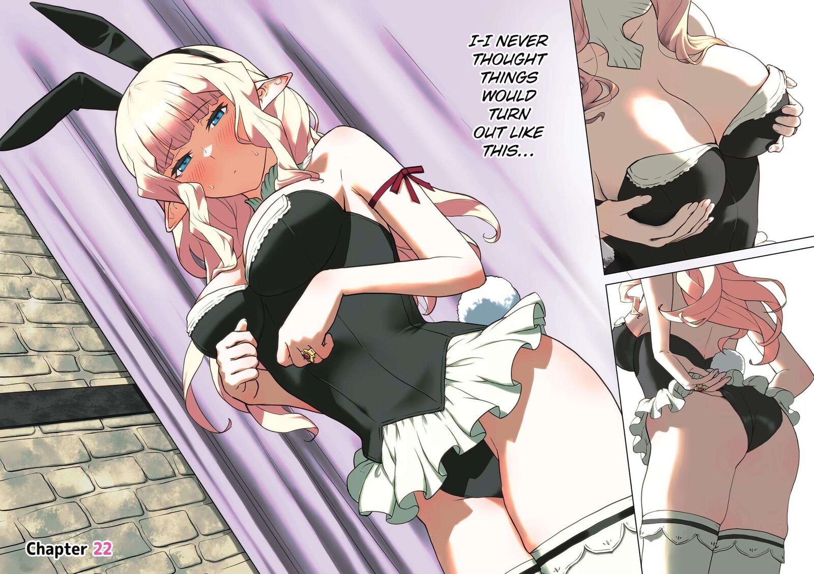Kishi Danchou No Elf San Datte Otome Ga Shitai 22 2