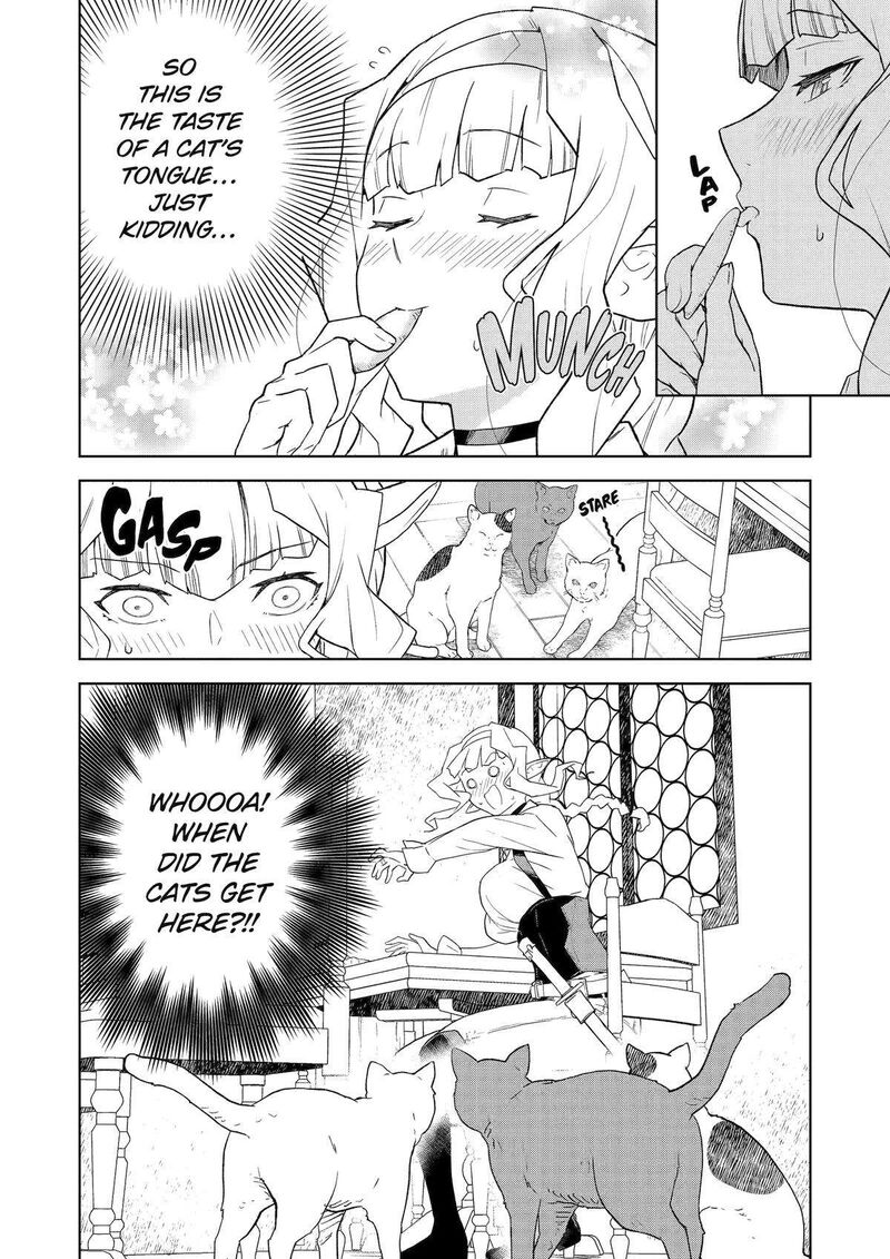 Kishi Danchou No Elf San Datte Otome Ga Shitai 23 10