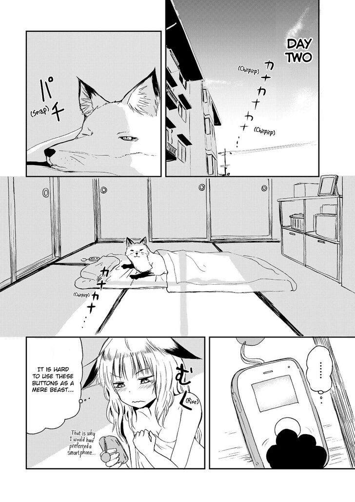 Kitsune No Oyome Chan 5 12
