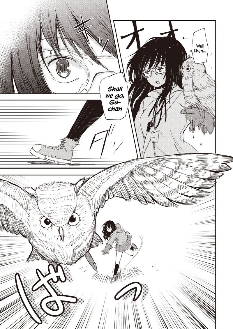 Kitsune No Oyome Chan 6 11