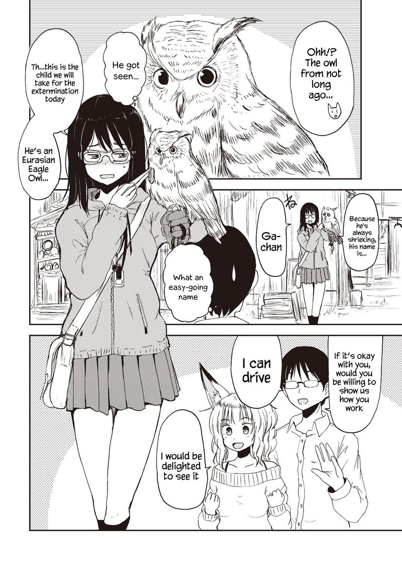 Kitsune No Oyome Chan 6 8