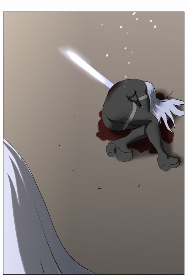 Knight Run 241 42