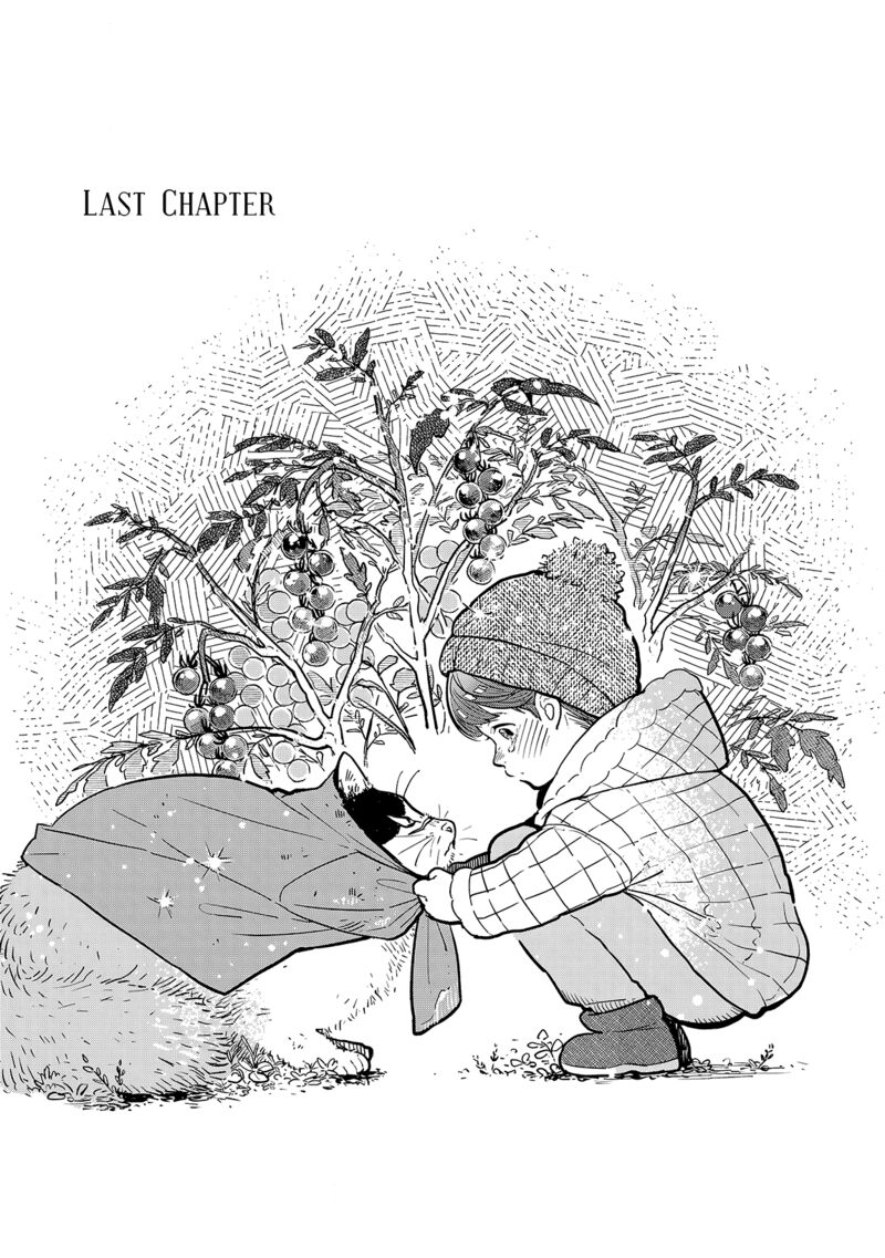 Kogareru Neko To Tomato 6 1