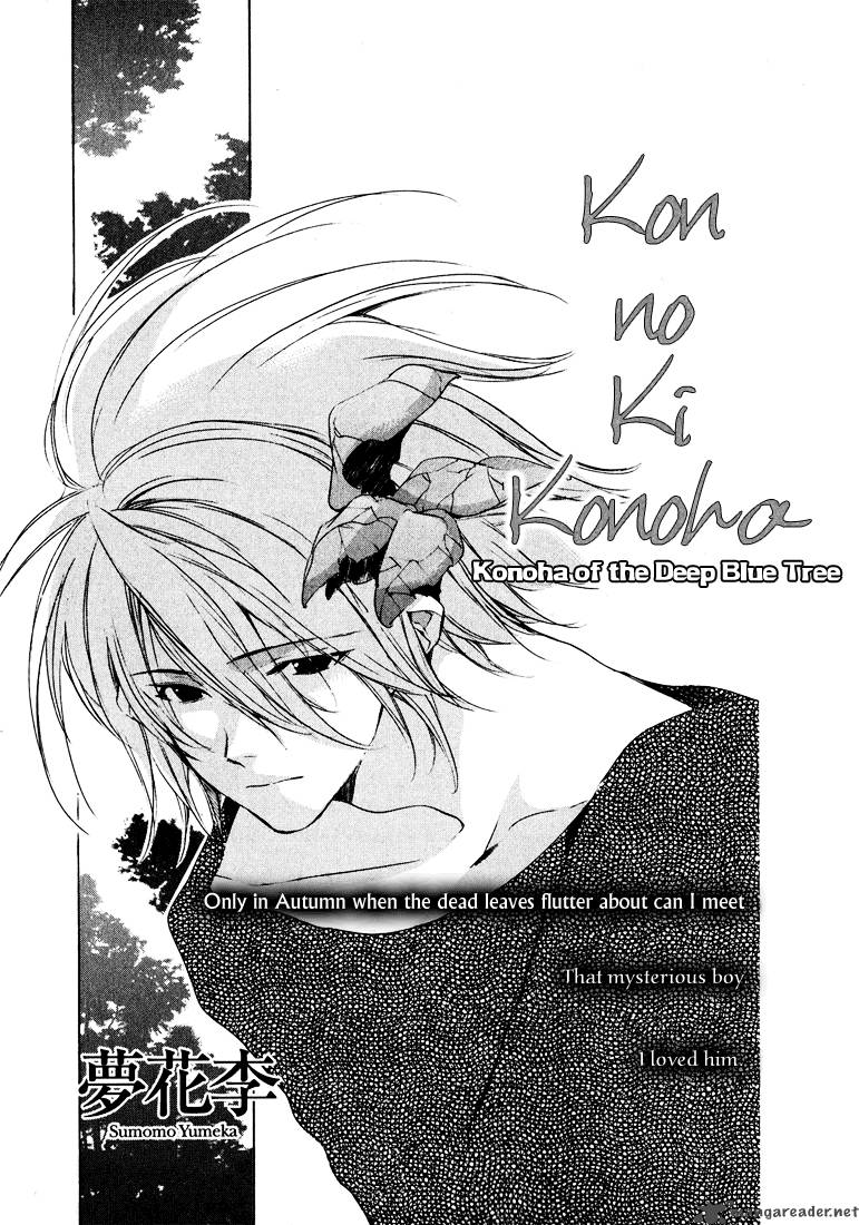 Kon No Ki Konoha 1 2