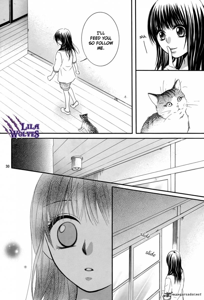 Kore Wa Koi No Hanashi 20 31