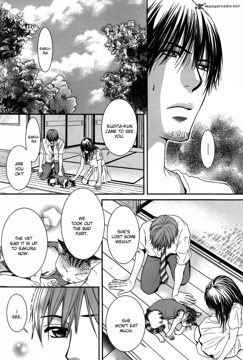 Kore Wa Koi No Hanashi 35 21