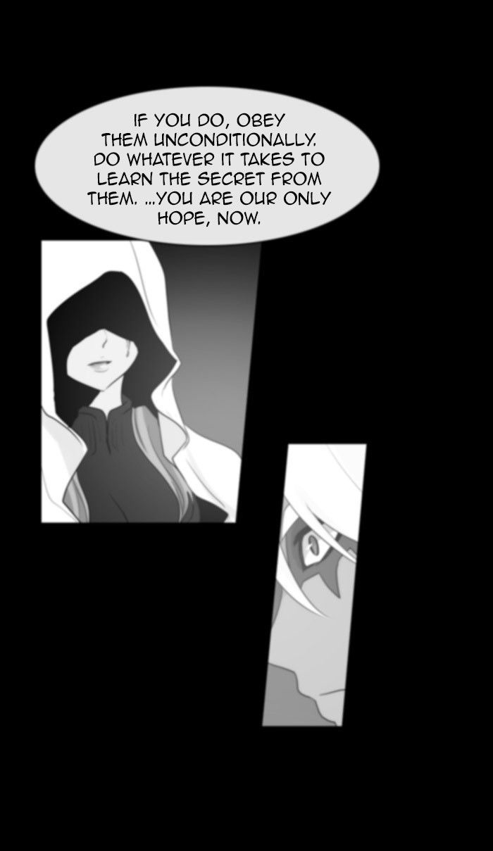 Kubera 300 6