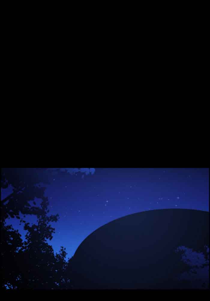 Kubera 323 41