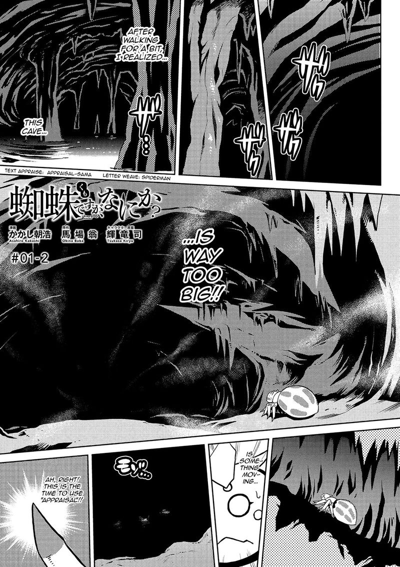 Kumo Desu Ga Nani Ka 1 24