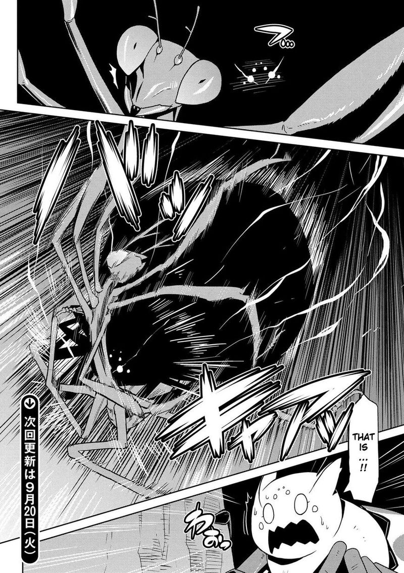 Kumo Desu Ga Nani Ka 11 11