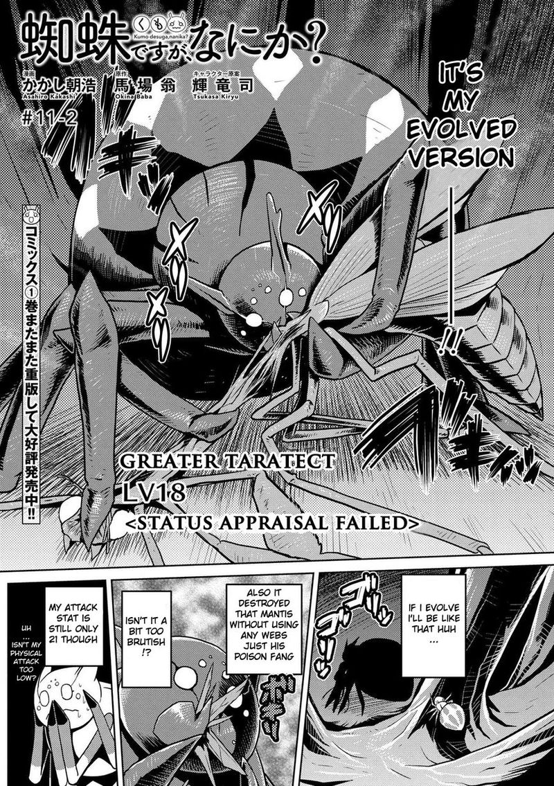 Kumo Desu Ga Nani Ka 11 12