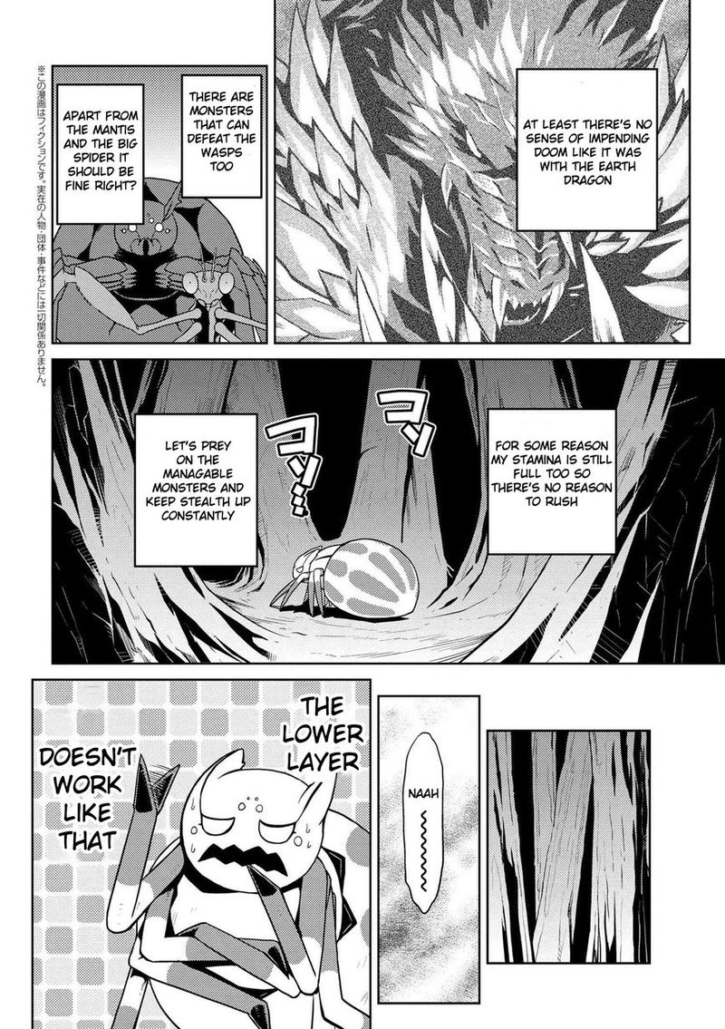 Kumo Desu Ga Nani Ka 11 14
