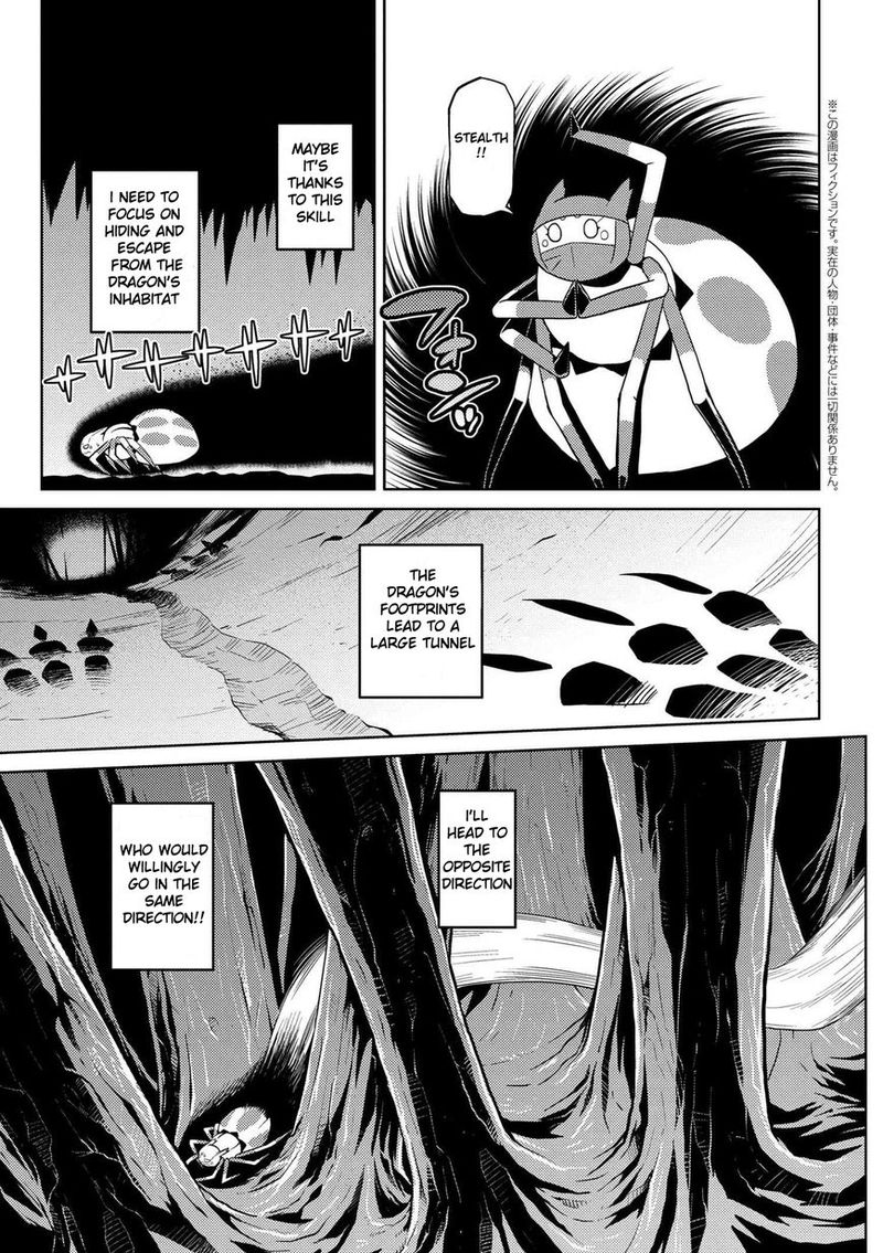 Kumo Desu Ga Nani Ka 11 5