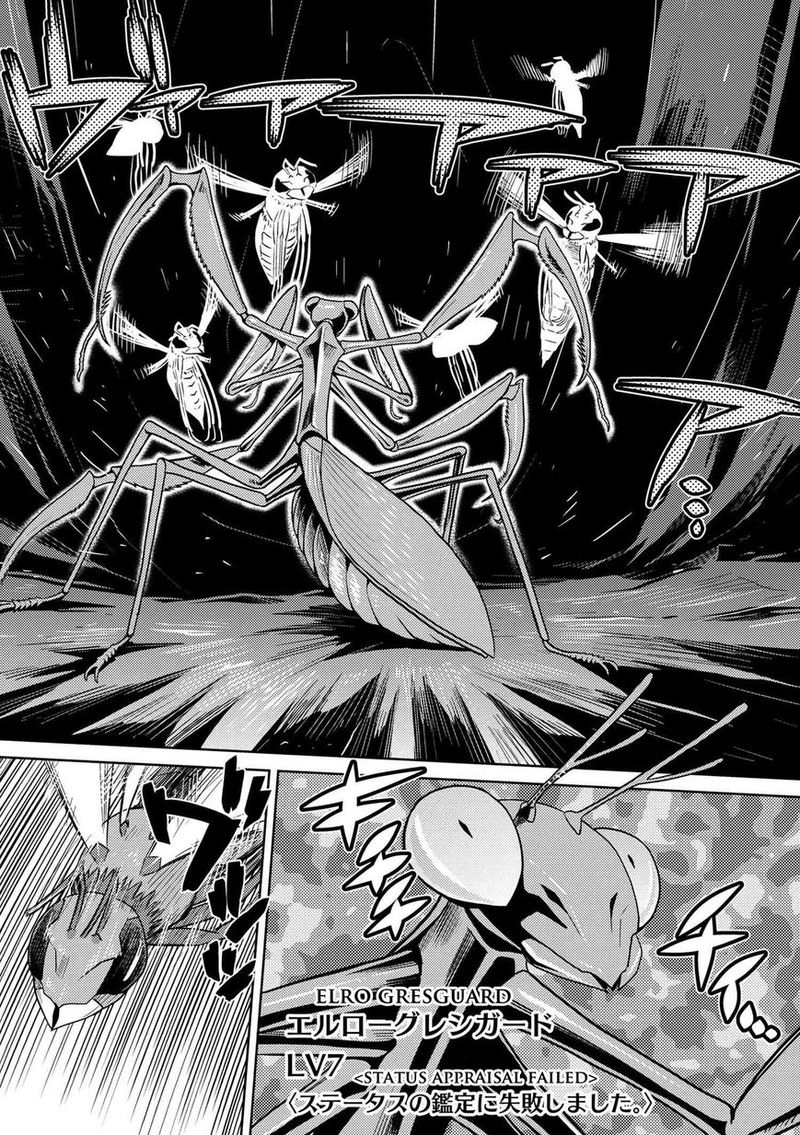 Kumo Desu Ga Nani Ka 11 8