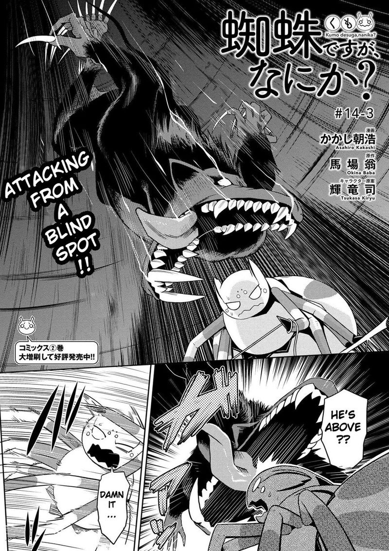 Kumo Desu Ga Nani Ka 14 21