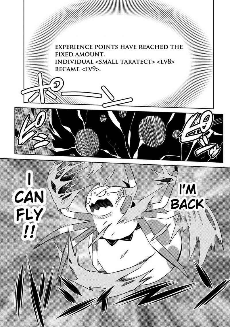 Kumo Desu Ga Nani Ka 14 27