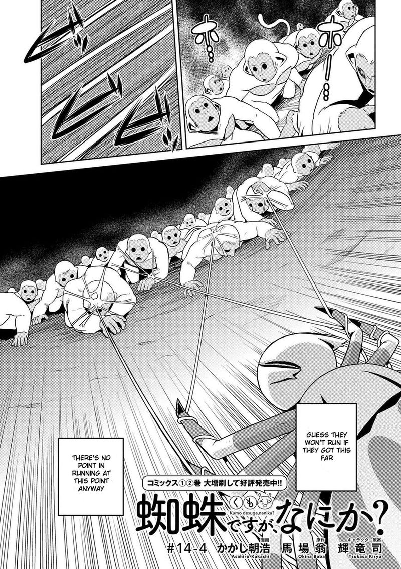 Kumo Desu Ga Nani Ka 14 29