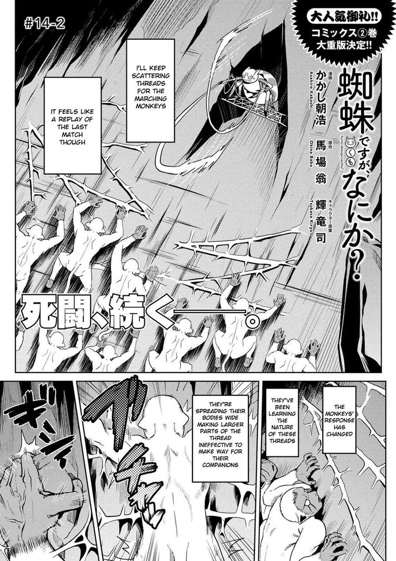 Kumo Desu Ga Nani Ka 14 9