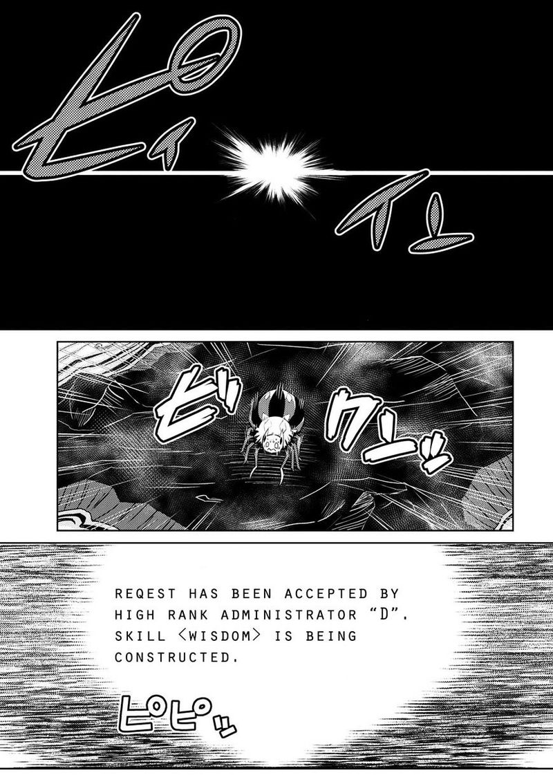 Kumo Desu Ga Nani Ka 20 25