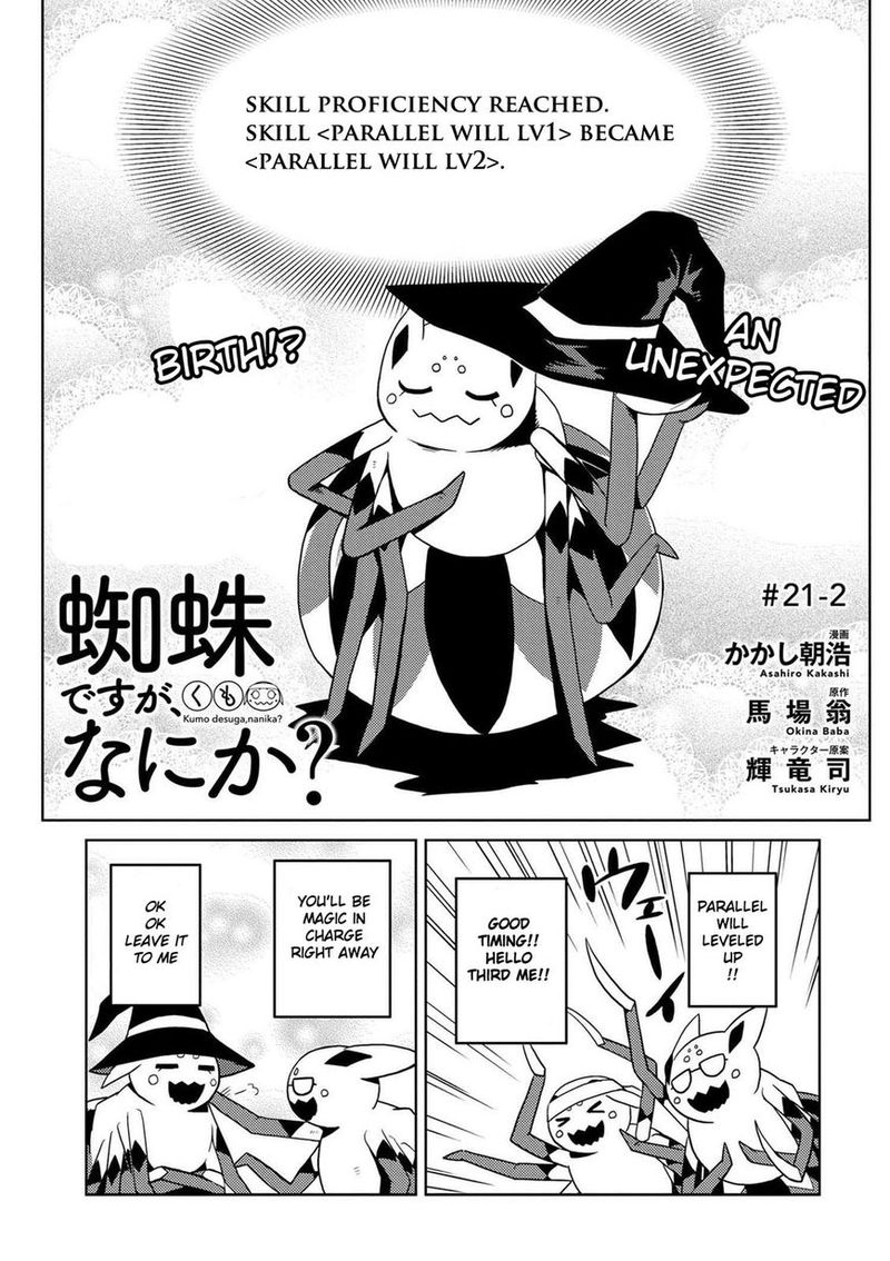Kumo Desu Ga Nani Ka 21 17