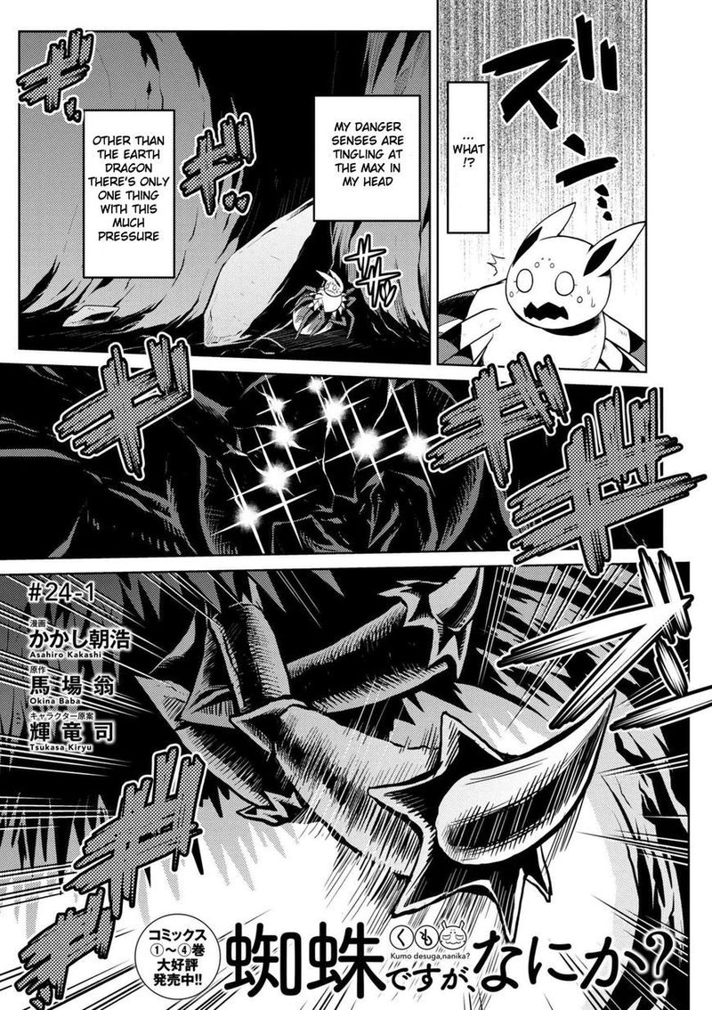 Kumo Desu Ga Nani Ka 24 1
