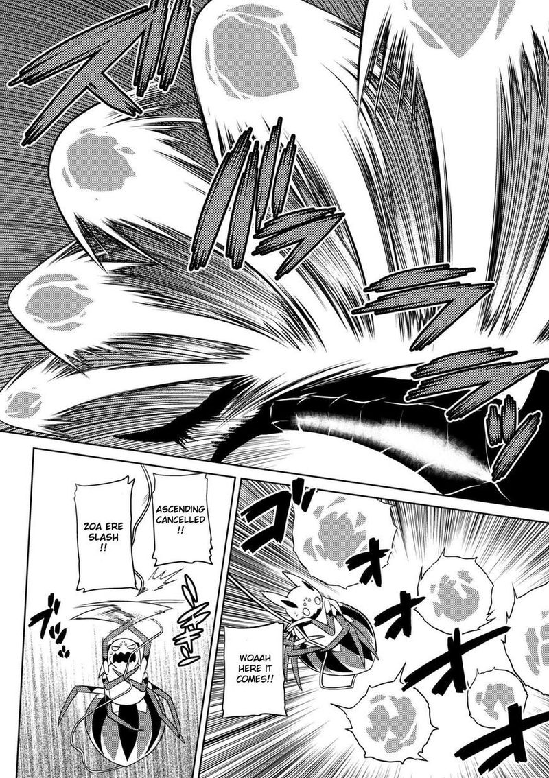 Kumo Desu Ga Nani Ka 25 3
