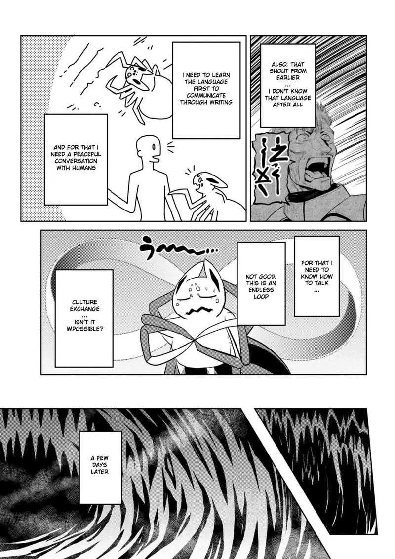 Kumo Desu Ga Nani Ka 28 21