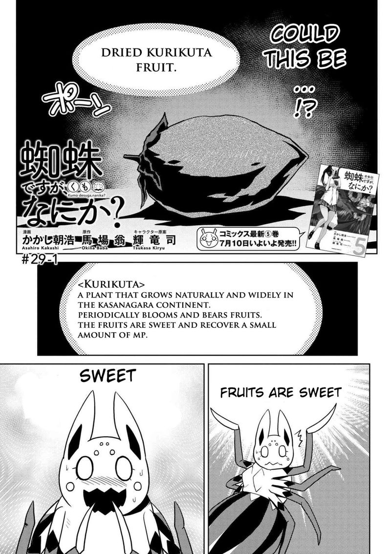 Kumo Desu Ga Nani Ka 29 1