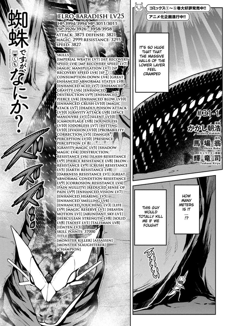 Kumo Desu Ga Nani Ka 31 1
