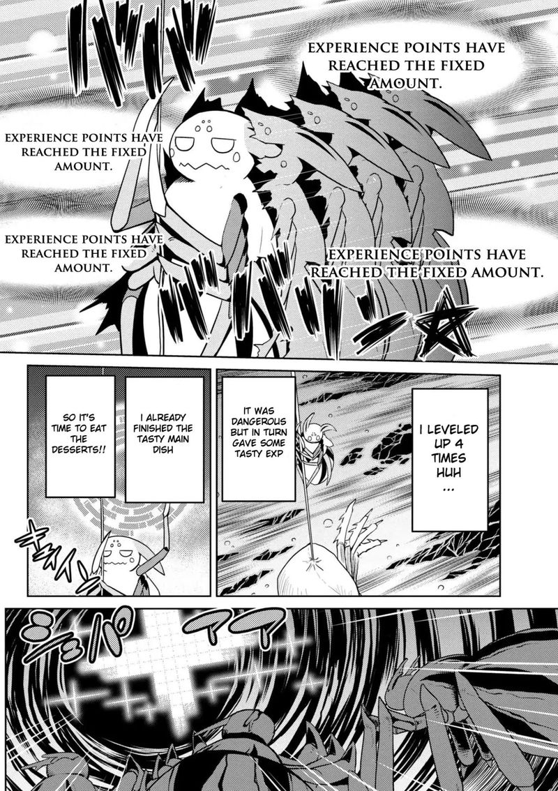 Kumo Desu Ga Nani Ka 32 14