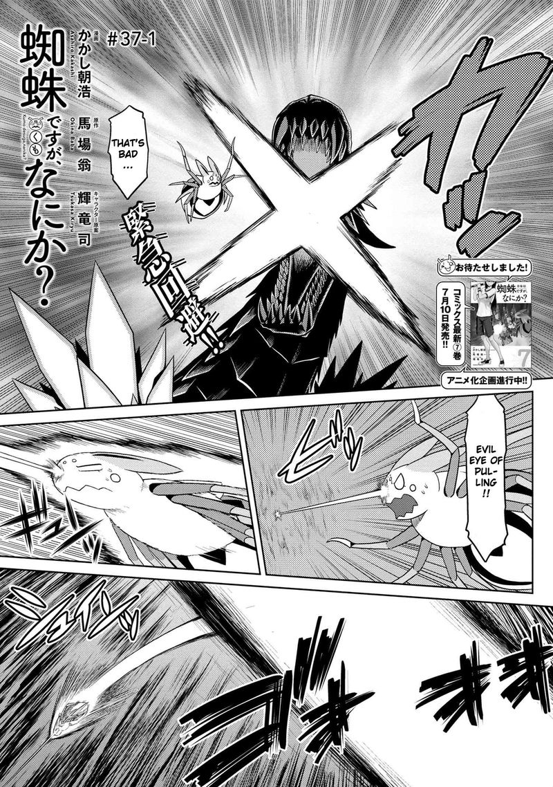 Kumo Desu Ga Nani Ka 37 1